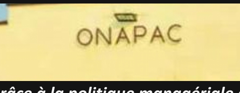 Du Labeur à la grandeur, « Onapac » redore le blason congolais dans le domaine agricole à l’échelle nationale et internationale
