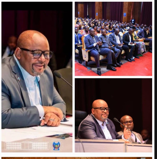 Rétrospective de la semaine du 11 au 15 mai, Assemblée Nationale : Aimé Boji Sangara sur tous les fronts