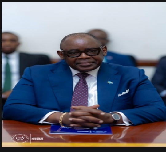 Sénat : Louis Watum Kabamba épingle des avancées tangibles engrangées dans la gouvernance minière en RDC !