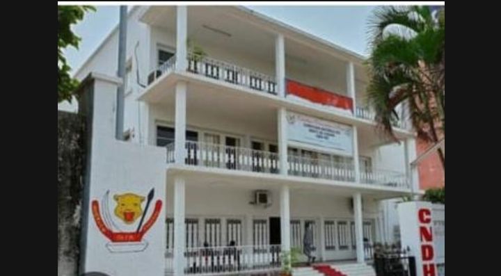 Sit-in de l’opposition à Kinshasa: la CNDH-RDC met en place une Commission spéciale d’établissement des faits