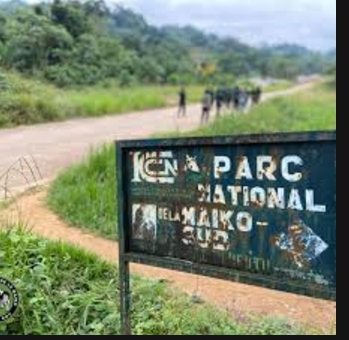 Mines : Louis Watum suspend les activités minières près du Parc national de Maiko