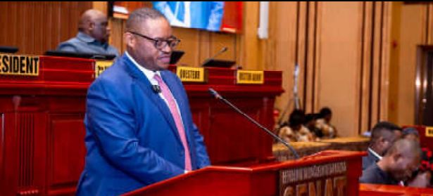 Aéroport, électricité, hôpital, agriculture, PME, Le Sénat adopte à l’unanimité 5 accords de financement au profit des congolais