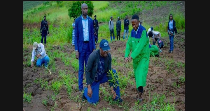 Exploitation du cannabis en RDC : enjeu économique, agenda caché, précipitation, priorité…?