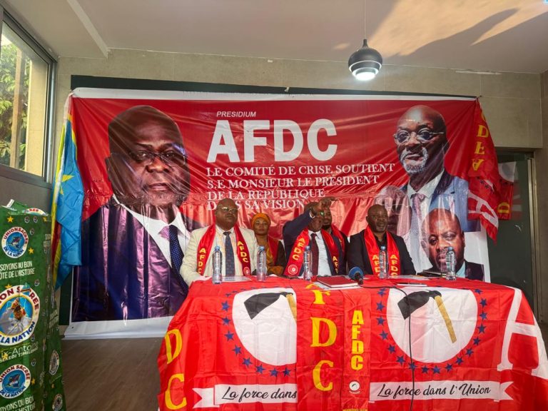 AFDC : le Comité de crise accuse Bahati Lukwebo de déstabiliser le parti !